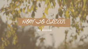 Txe Region blog image
