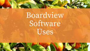 Boardview-Software-Uses